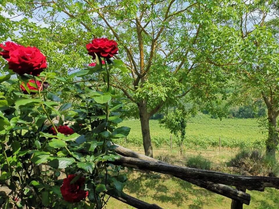 Cascina Valtignosa Camere Con Vigna Cassine Exterior photo