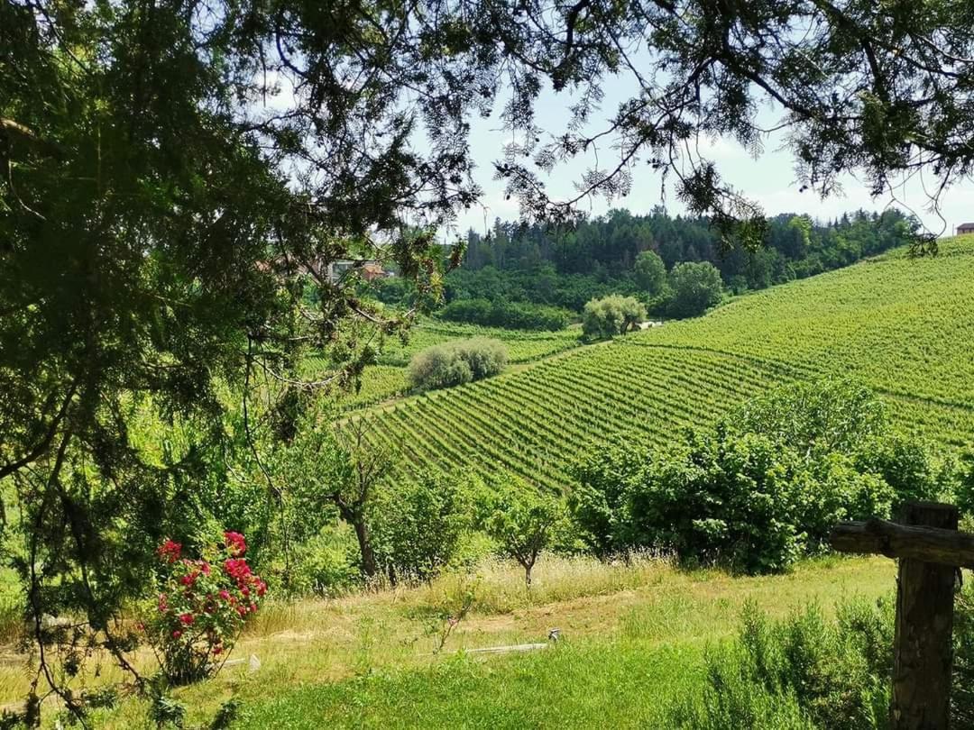 Cascina Valtignosa Camere Con Vigna Cassine Exterior photo