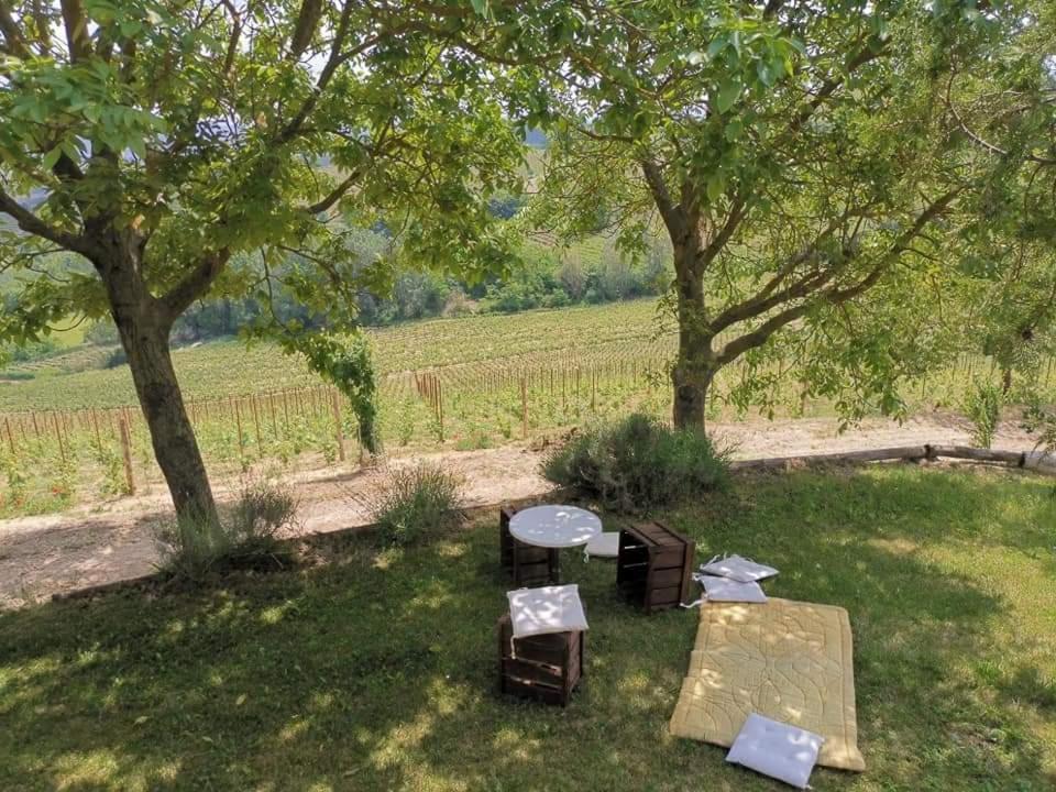 Cascina Valtignosa Camere Con Vigna Cassine Exterior photo