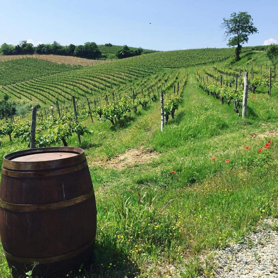 Cascina Valtignosa Camere Con Vigna Cassine Exterior photo