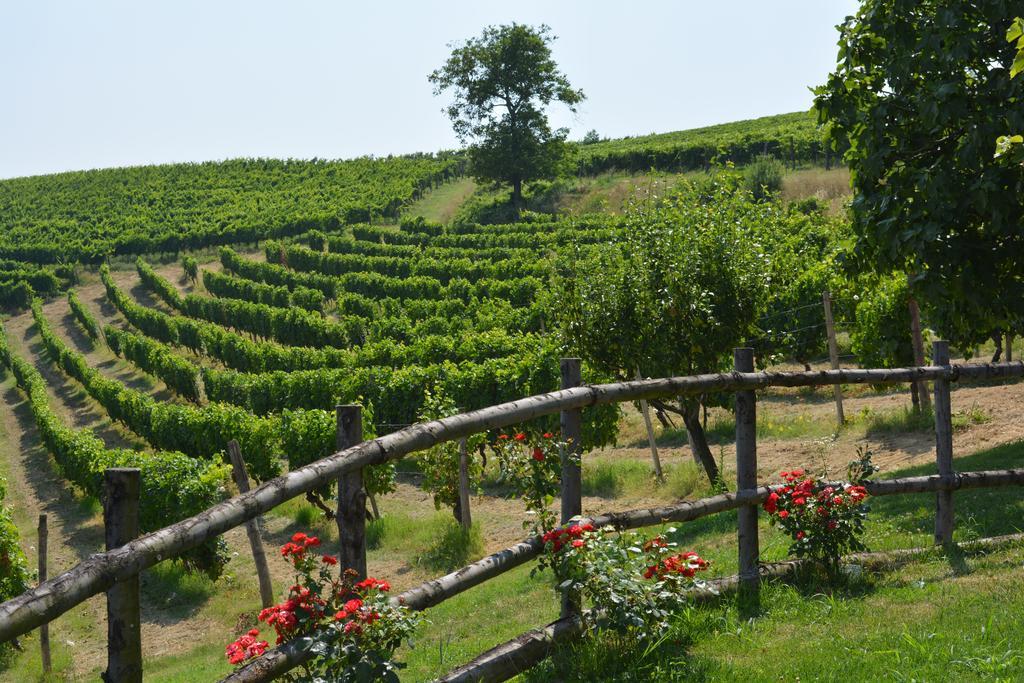 Cascina Valtignosa Camere Con Vigna Cassine Exterior photo